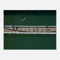 Aerial photo of a swimmer in bright green water beside a footbridge, seen through a fence, summer wall art poster