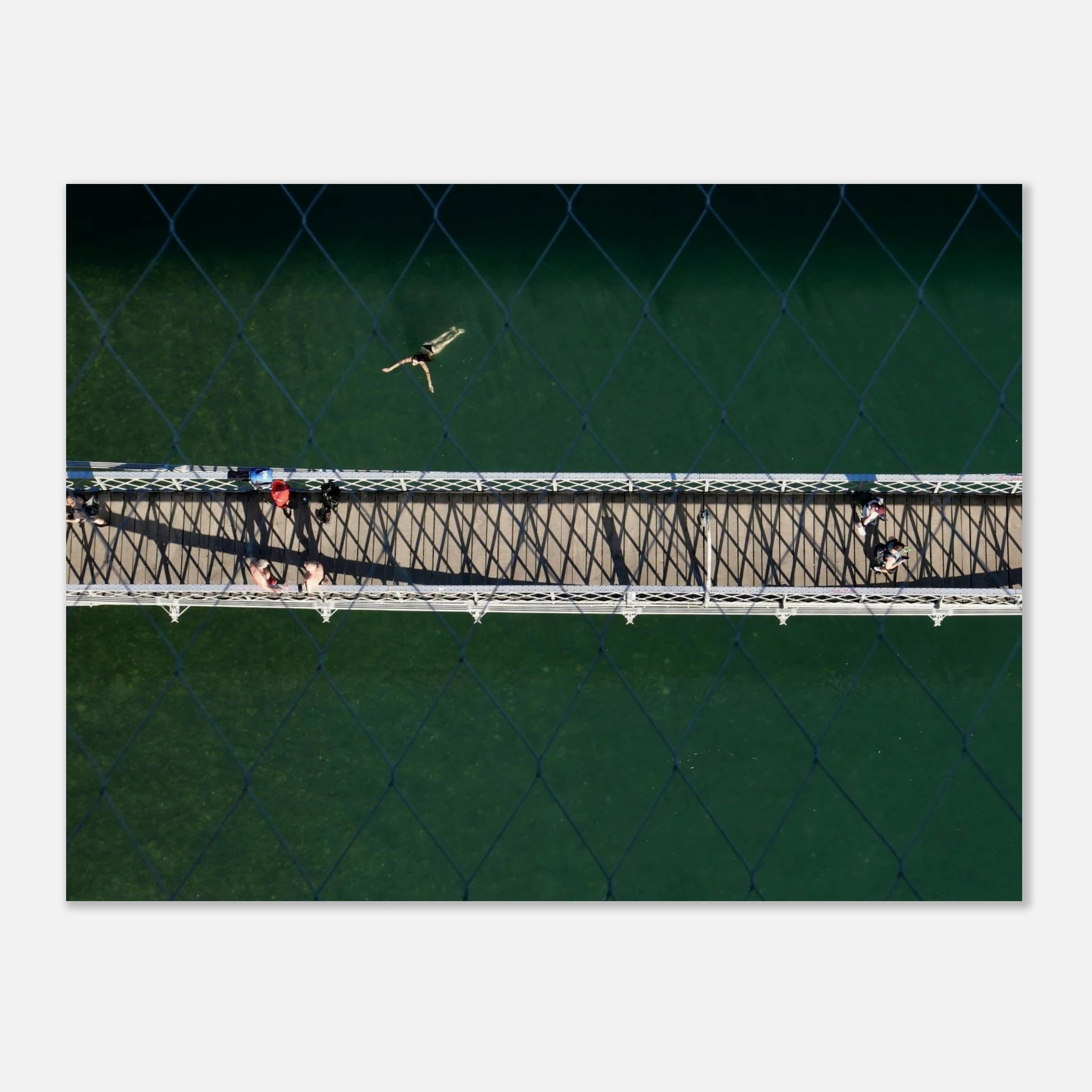 Aerial photo of a swimmer in bright green water beside a footbridge, seen through a fence, summer wall art poster