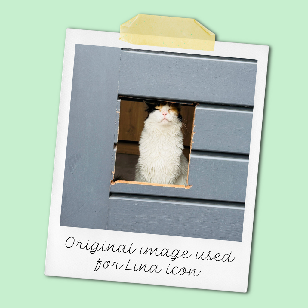 Polaroid-style photo of fluffy calico cat Lina Love peeking through a square cut-out in a grey door, on a mint green background with handwritten caption ‘Original image used for Lina icon'.